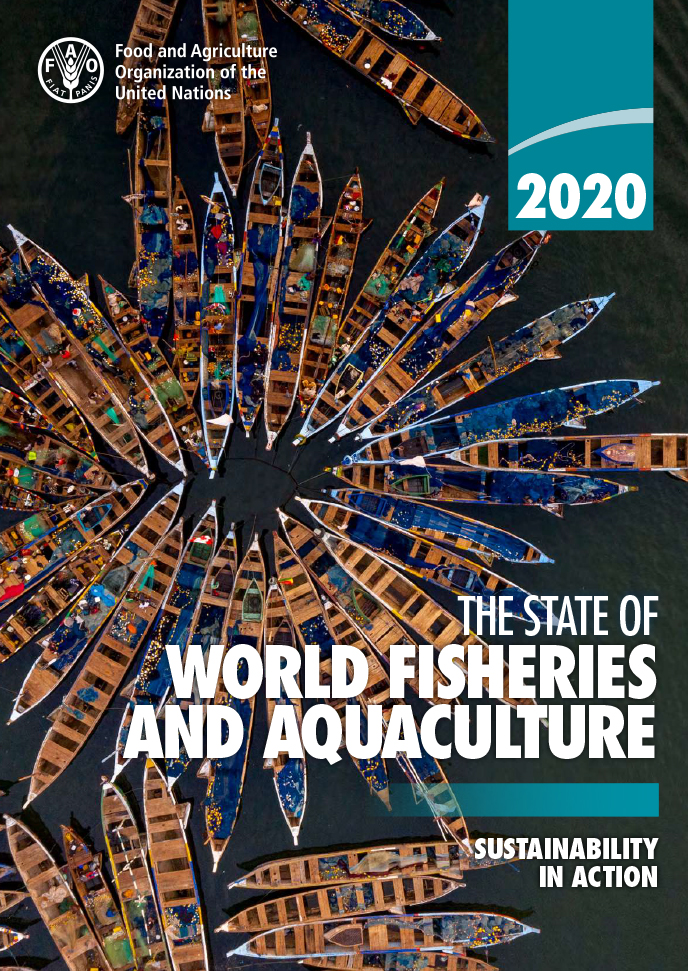The State of World Fisheries and Aquaculture 2020 – FAO report